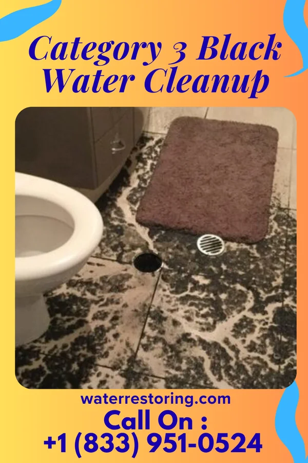 Category 3 Black Water Cleanup in Ignacio, CO