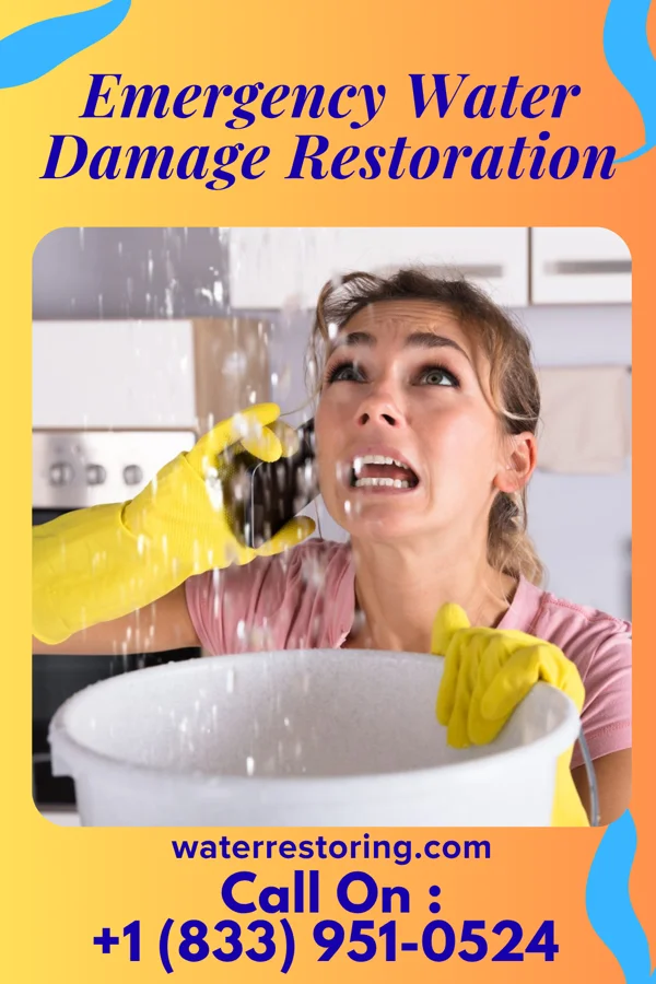 Emergency Water Damage Restoration in Ignacio, CO